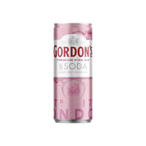GORDONS PINK & SODA CANS 250ML CTN/24